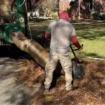 Leaf Removal
