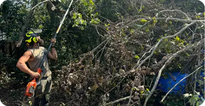 Yard Cleanup