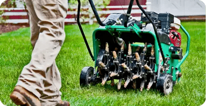 Lawn Aeration