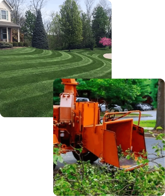 About Greener Grounds Lawn & Tree