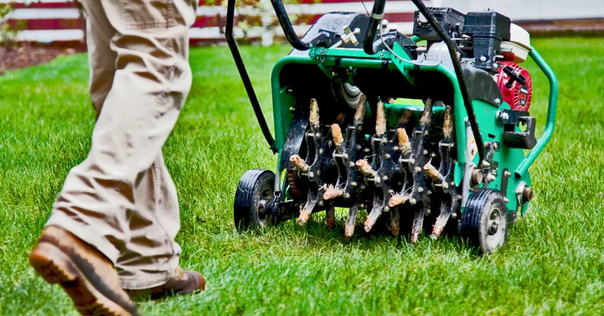 Lawn Aeration Services in Birmingham, AL