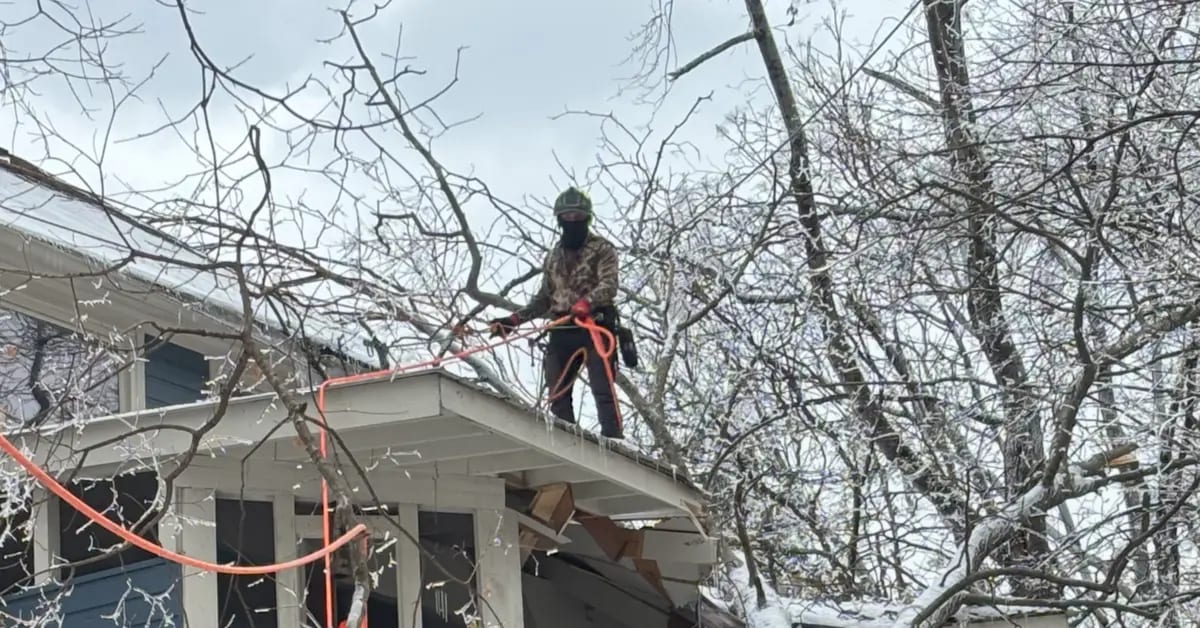 24/7 Emergency Tree Service in Birmingham, AL