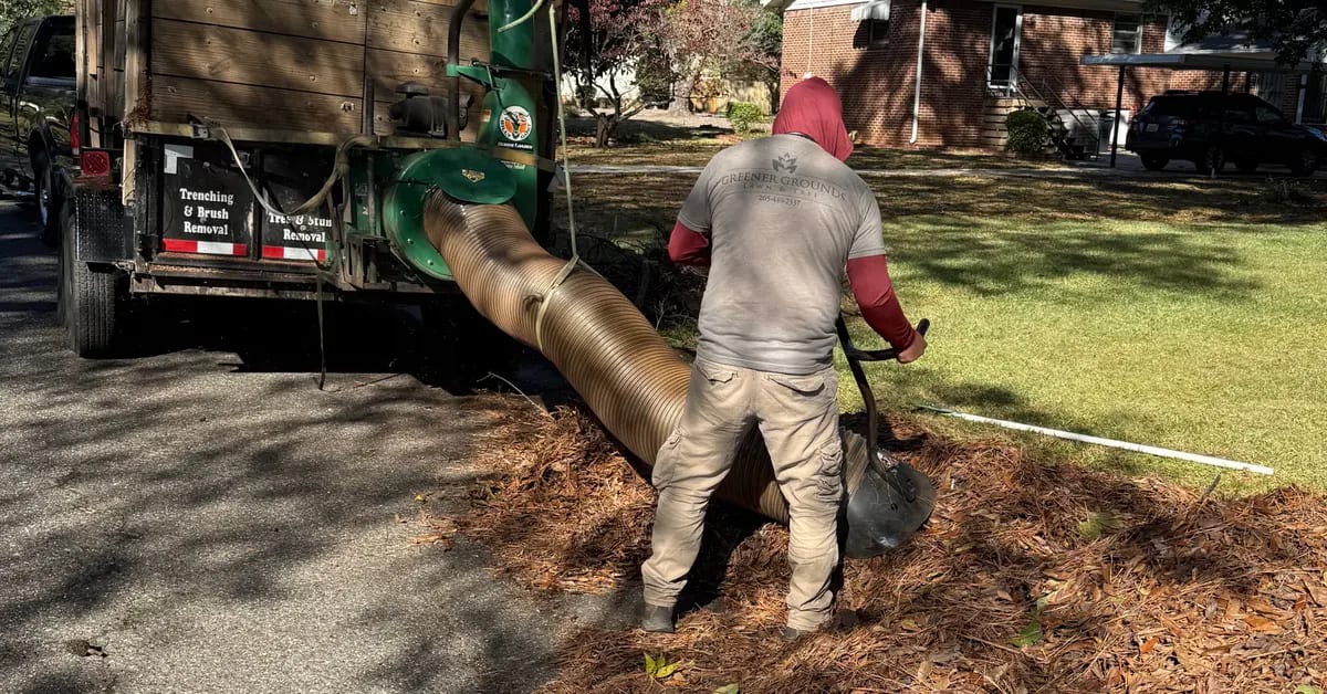 Leaf Removal Services in Birmingham, AL