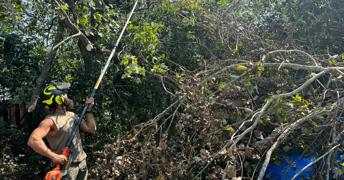 Yard Cleanup Services in Birmingham, AL