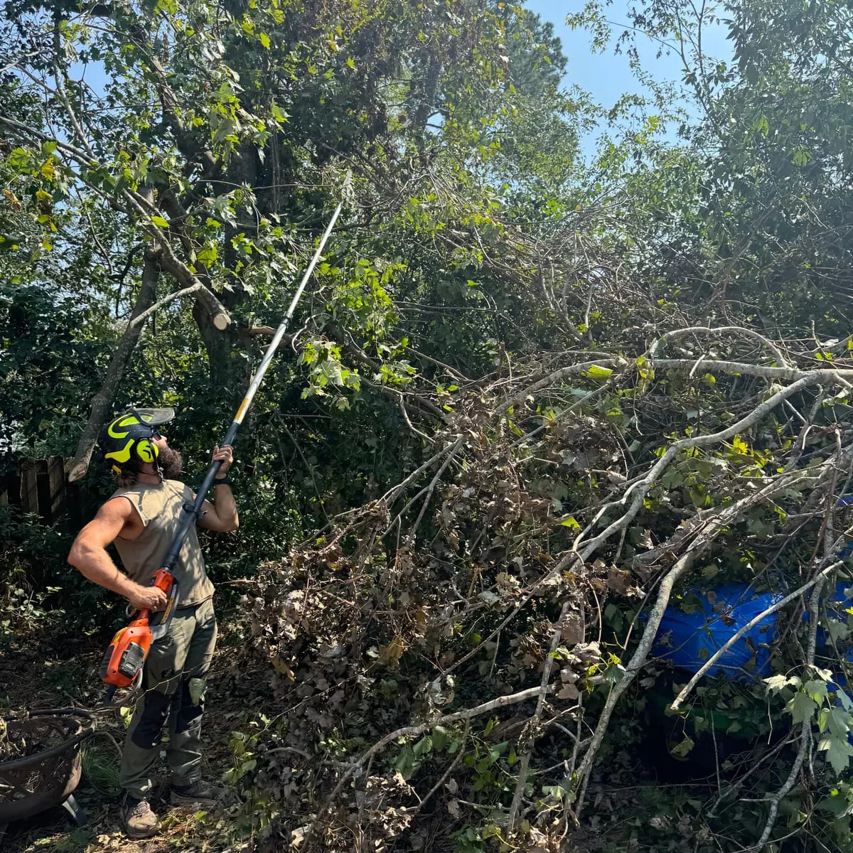 tree service in vestavia hills al