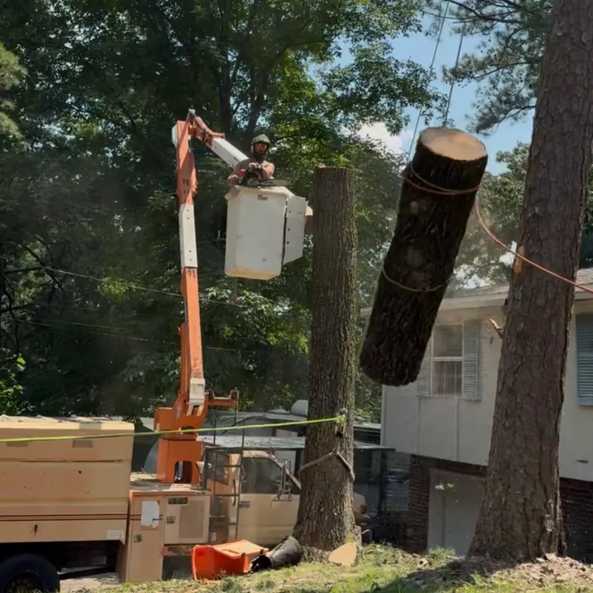 tree service in fairfield al