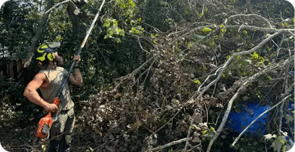 Yard Cleanup